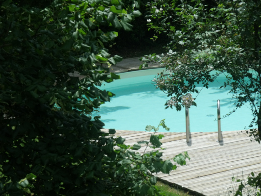 gite en groupe Gite de charme en Aveyron (->12 pers) piscine