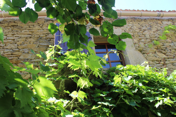 Domaine de la ferme du Bourdil chalabre
