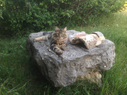 location Gite, Gite d'étape