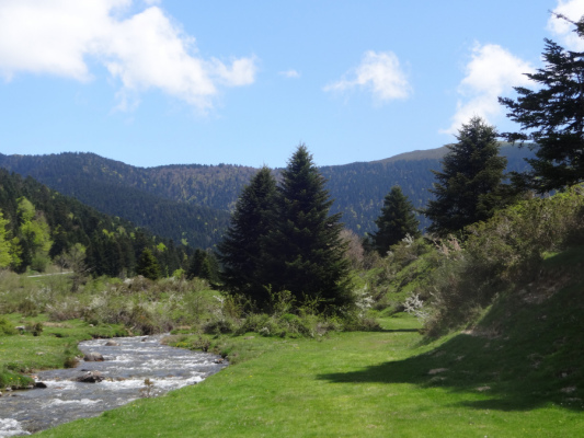 hébergement de groupe Gite la bergerie