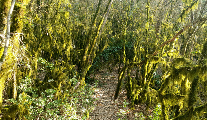 vacances de groupe Les Terrasses du Roc