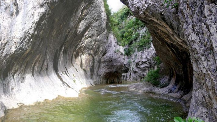 location de groupe SAINT-ANDRE-DE-ROQUEPERTUIS