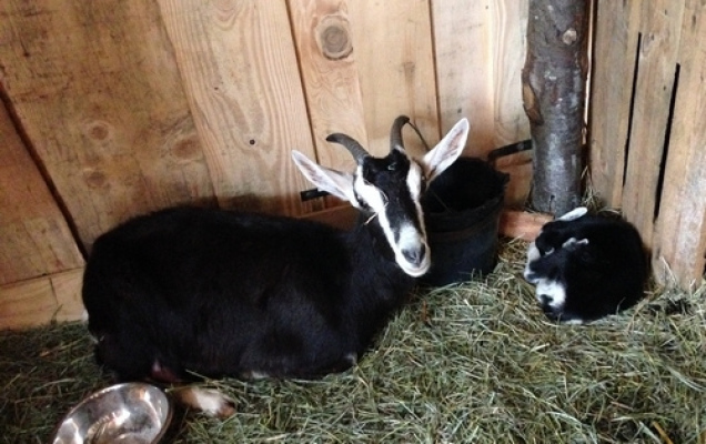 gite en groupe Gîte du Vercors