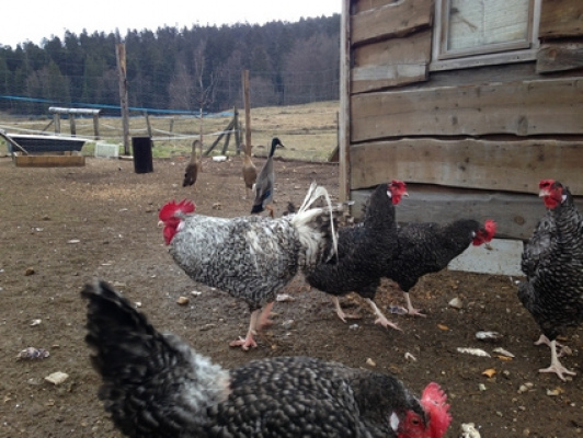 gite de groupe RHONE-ALPES