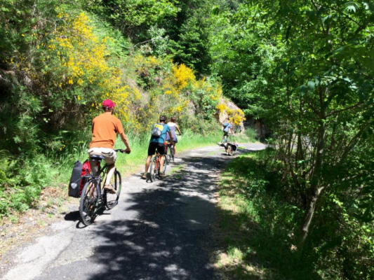 Balade à vélos