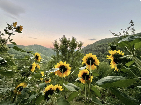 gite france Ardèche