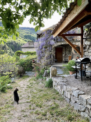 Accés à la dépendance 