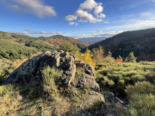 La vallée ardéchoise à proximité du gîte 