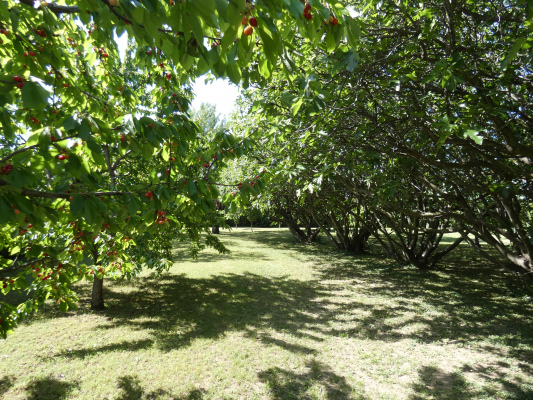 gite france Vaucluse