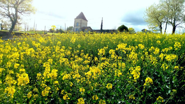 vacances en groupe BRUGNAC