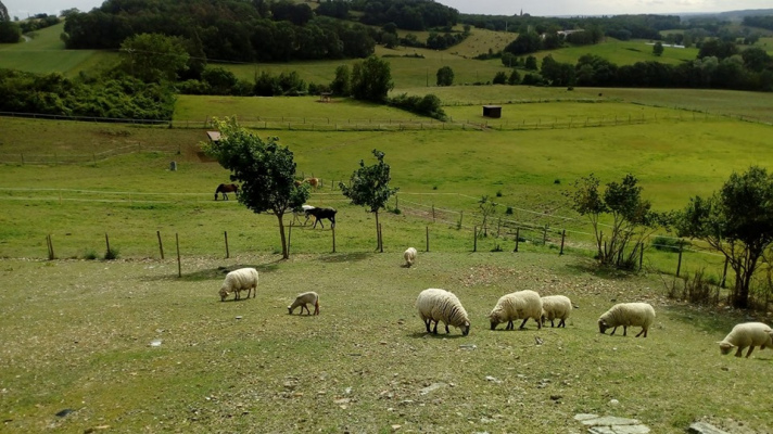 gite en groupe AQUITAINE