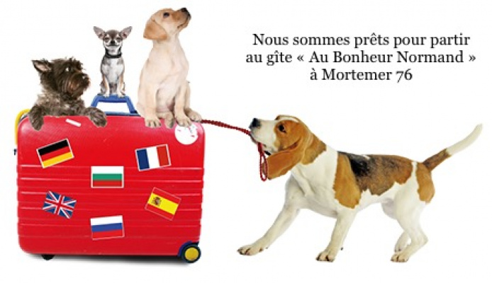 Animaux acceptés 