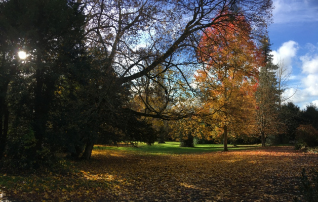 gite pour groupe OUILLY-LE-VICOMTE