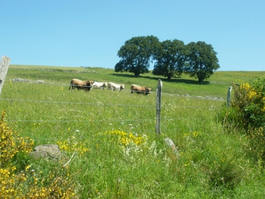 hébergement de groupe MIDI-PYRENEES