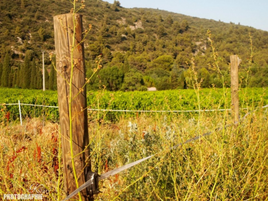 vacances de groupe Vaucluse