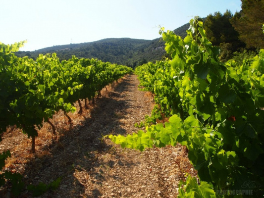 gite france PROVENCE-ALPES-COTE D'AZUR