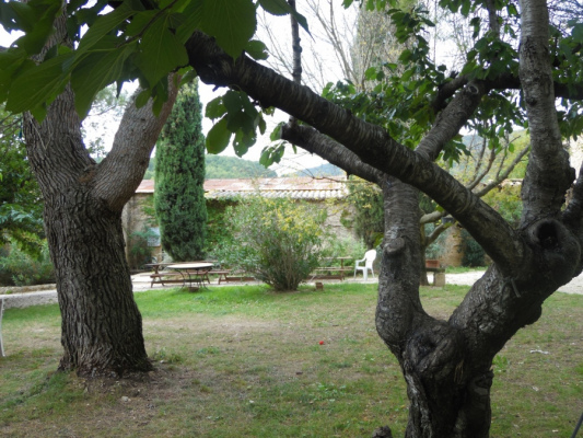 vacances en groupe LAURIS