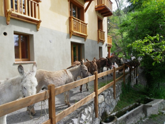 location de vacances Gite, Gite d'étape, Gite insolite