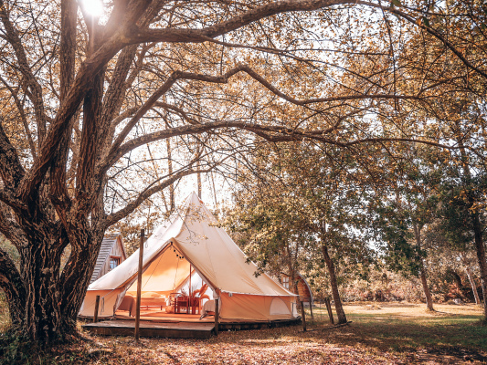 logement de groupe Landes