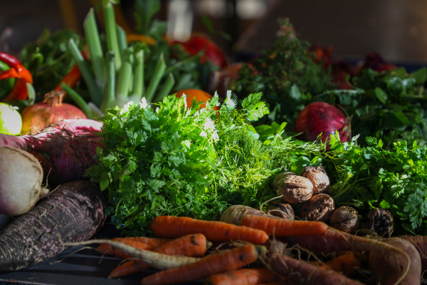 logement Lot-et-Garonne