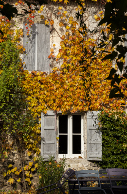 le logis de la tour d'avance