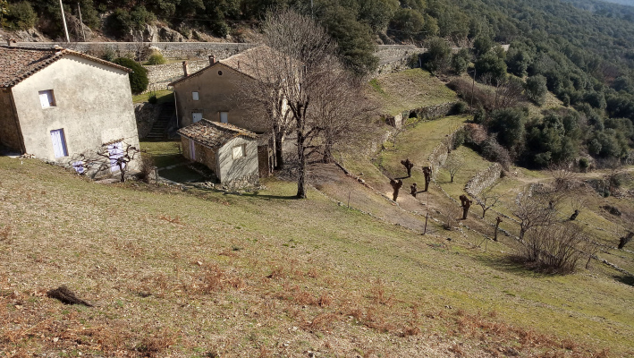 Col du Mercou - Terrasses et murs de pierres sèches