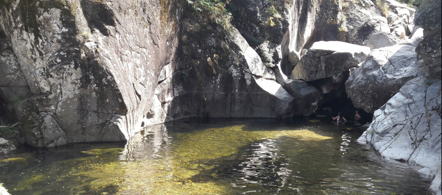 Piscine Naturelles Soudorgues