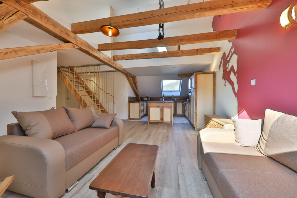 gite de groupe La Villa des 3 Sommets 12 ch 6 sdb sauna de 4 à 25 personnes