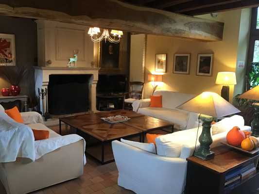 Grand séjour avec cheminée