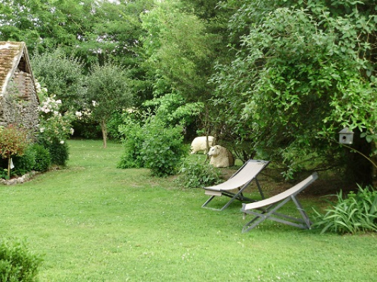 Jardin verdoyant