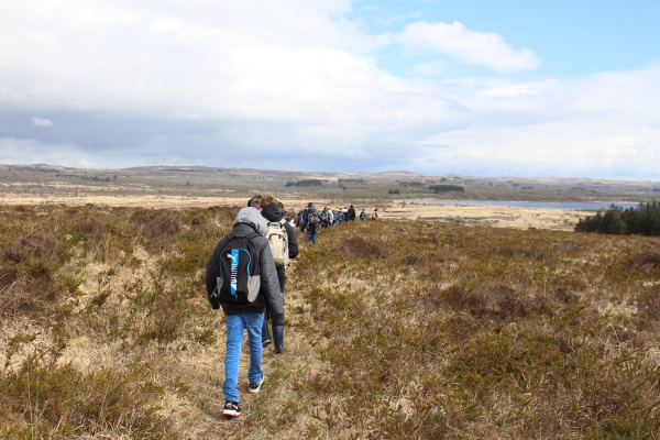 Des landes et des tourbières