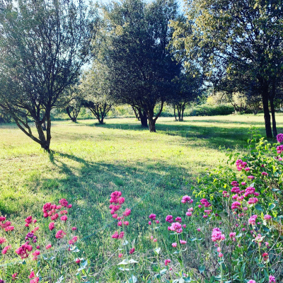 Le parc, grand gîte Provence