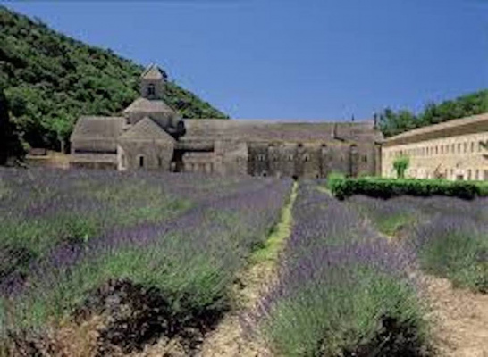 Abbaye de Sénanque, Gordes