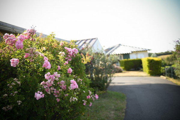 gite en groupe PLENEUF-VAL-ANDRE