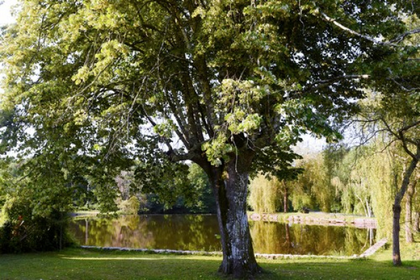 gite france Gite, Village de gites, Gite d'étape, Gite de luxe, Gite insolite