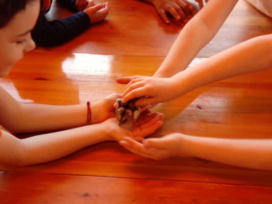 à la découverte des animaux du Clos Moulin