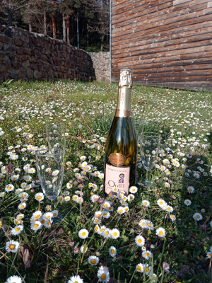 Printemps au Clos Moulin