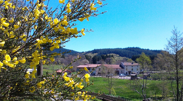 Gite de groupe _ vue extérieur