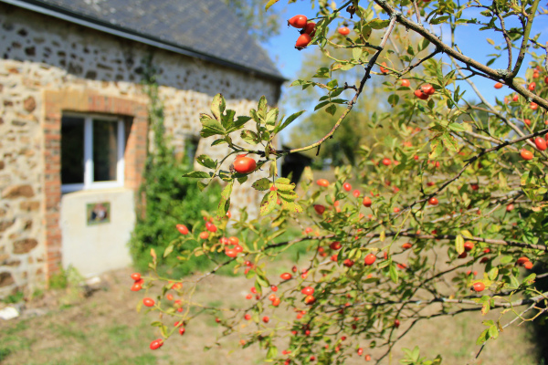 Gîte de la Tournerie 