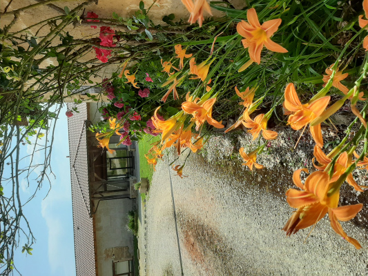 hébergement RHONE-ALPES