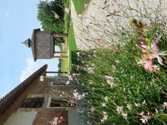Le gîte et son pigeonnier