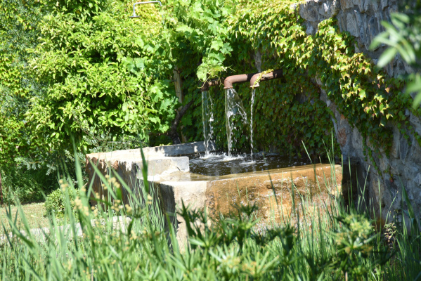 La fontaine