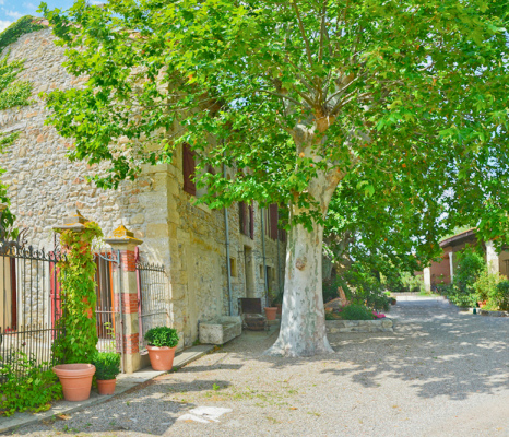Domaine Saint Domingue