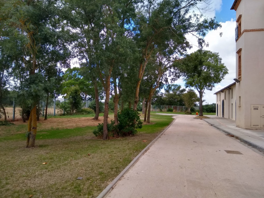 CIS Toulouse La Mounède - face sud jardin