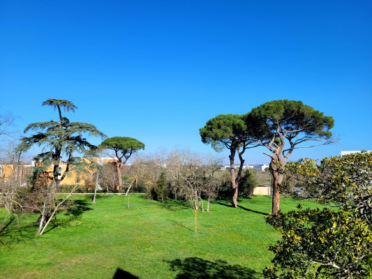 CIS Toulouse La Mounède extérieur