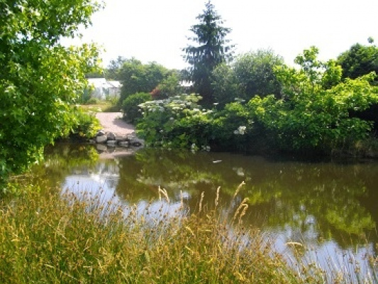 location gite des fleurs