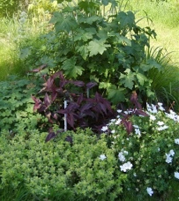 logement de groupe SAINT-PRIX