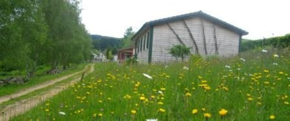 hébergement de groupe gite des fleurs