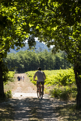 Activité VTT à Trians