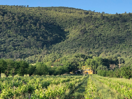 Cadre Château Trians